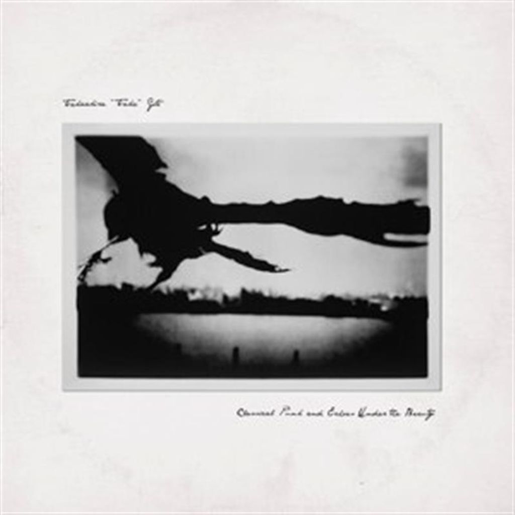 Takaakira Taka Goto - Klassischer Punk und Echoes under the Beauty CD