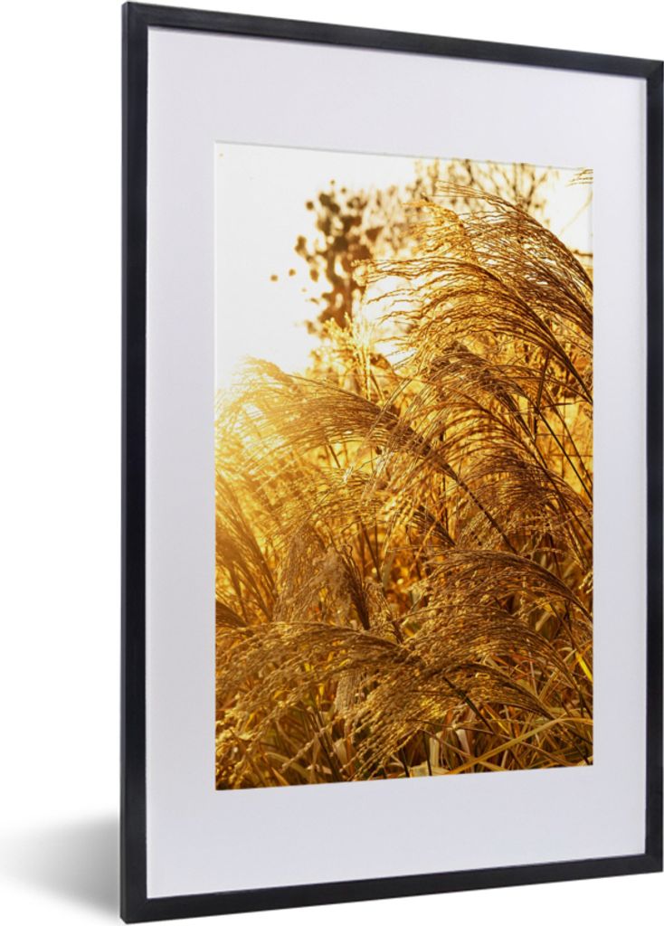 MuchoWow Gerahmtes Poster Pampasgras - Sonne - Gras 40x60 cm - Poster mit Schwarzem Bilderrahmen Wandposter Rahmen Foto Bilder - Poster in Rahmen