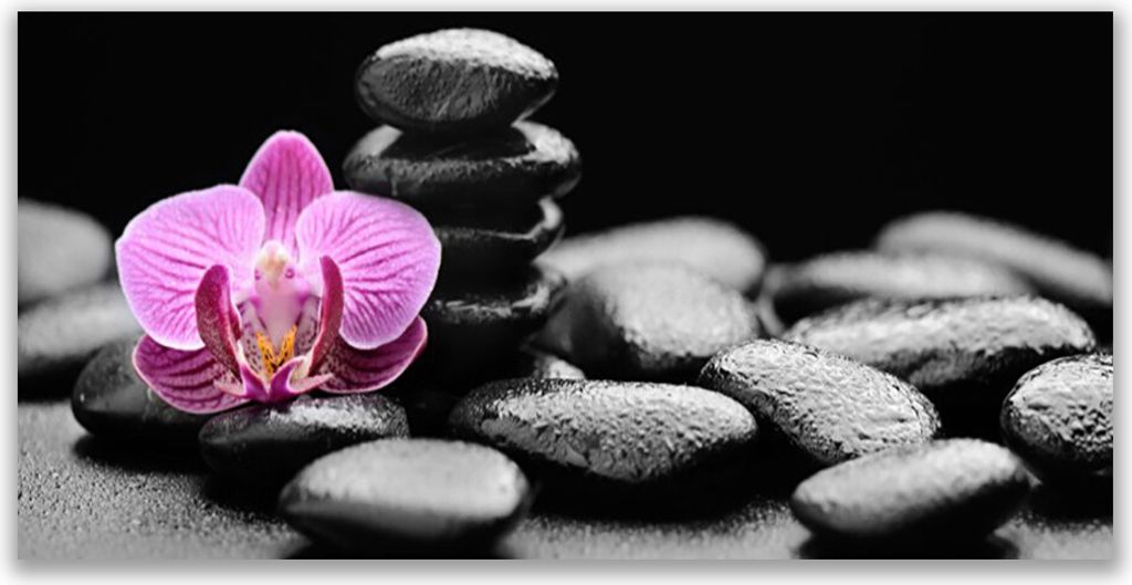 Tulup Leinwand-Bilder 120x60 Wandbild Canvas Kunstdruck Blume Steine Kunst