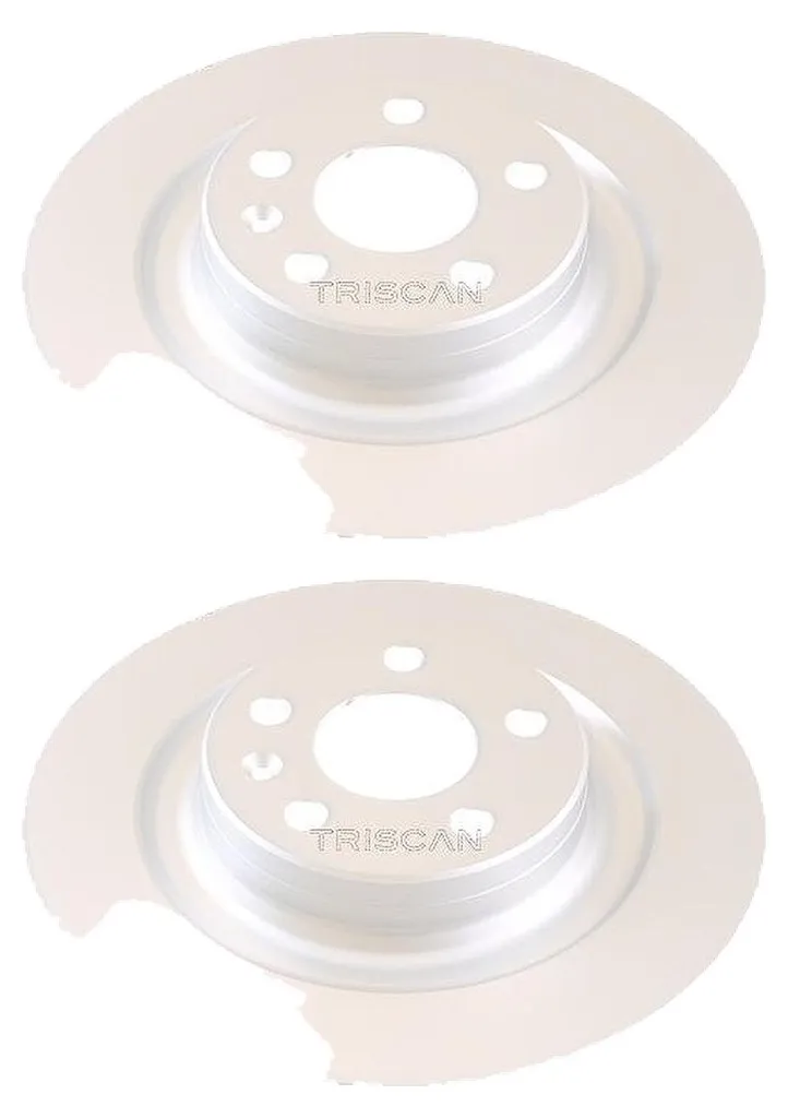 Paire de disques de frein arrière type 314875 en acier haute résistance