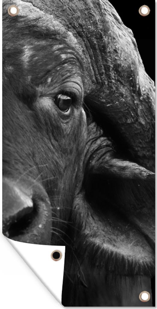 MuchoWow 80x160 cm Outdoor-Poster Gartendeko Sichtschutz Garten Poster für den Garten Büffel - Tiere - Schwarz - Weiß