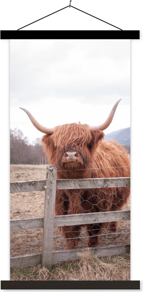 MuchoWow Textilposter Scottish Hochlandrind - Gras - Zaun 60x120 cm mit schwarzem Rahmen - Magnete