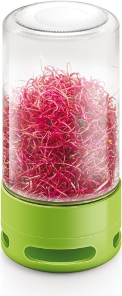 Vaso di germinazione in vetro Tescoma SENSE Immagine del prodotto 