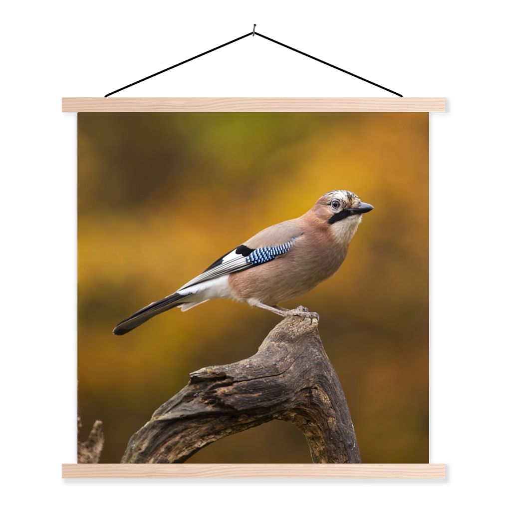 MuchoWow Textilposter Vogel - Zweig - Eichelhäher 40x40 cm mit holzfarbenen Rahmen - Posterleiste