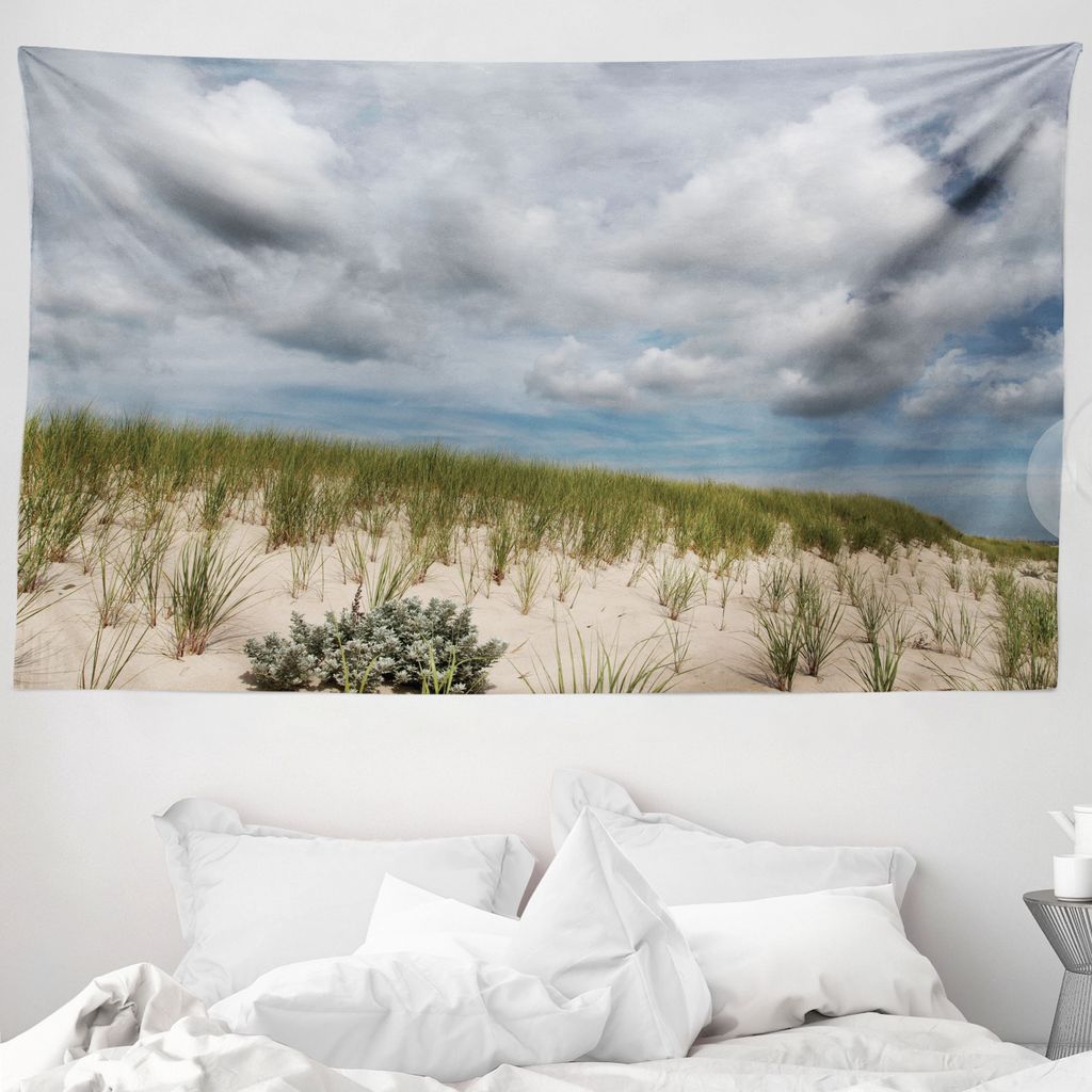 ABAKUHAUS Massachusetts Wandteppich, Cape Cod Küste aus Weiches Mikrofaser Stoff Waschbar ohne Verblassen Digitaldruck, 230 x 140 cm, Grau Beige G...