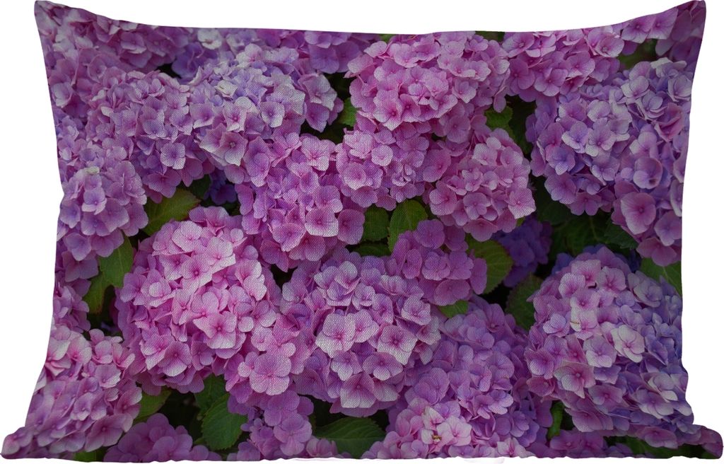 MuchoWow Outdoor Kissen - Blumen - Hortensie - Strauch - Rosa - Blütenblätter - 50x30 cm - Wetterfest - Lounge Kissen - Sofa kissen - Wohnzimme...