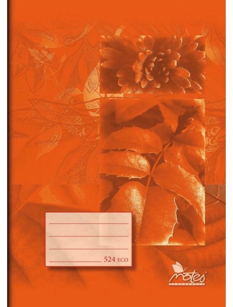 HINWEISE Seå ¡ it 524e Orange