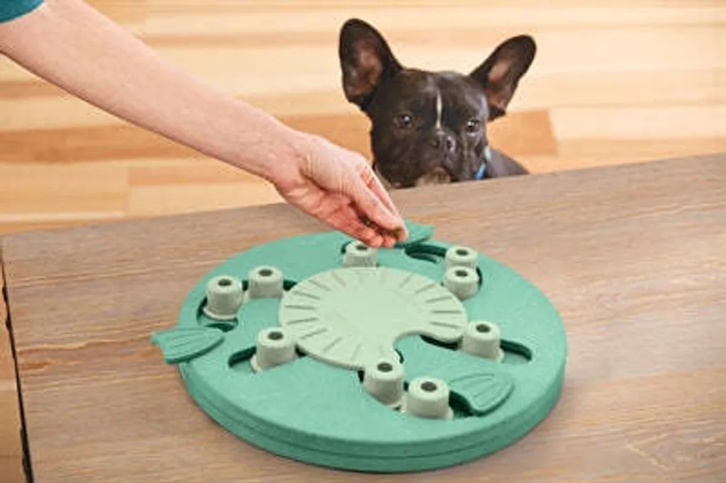 Puzzle interactif Dog Worker pour chien expert - Jeu d'intelligence Mint