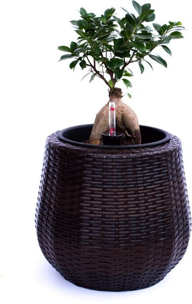 Elegant Einrichten | Pflanzkübel | Polyrattan | rund konisch | D35xH32cm | coffee braun