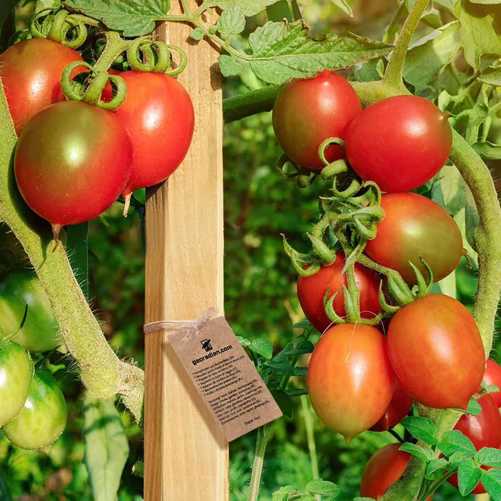 Holzpflöcke Hartholzpfähle 40cm - 25mmx25mm (25 Stk.) Produktbild 5