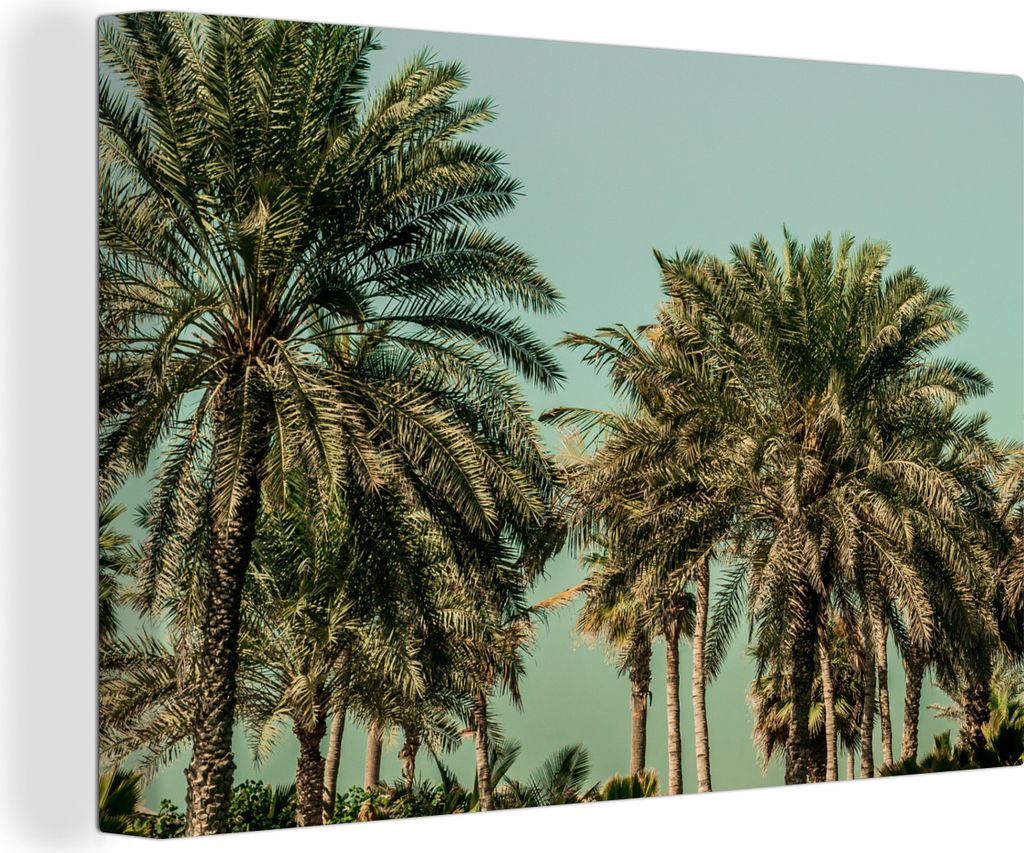 OneMillionCanvasses - Leinwandbilder - 150x100 cm, Palme - Himmel - Sommer - Tropisch, Wandbilder Kunstdruck Wanddekoration
