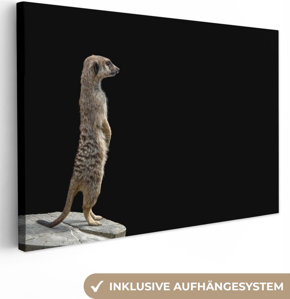 OneMillionCanvasses - Leinwandbilder - 150x100 cm, Erdmännchen - Wilde Tiere - Schwarz, Wandbilder Kunstdruck Wanddekoration