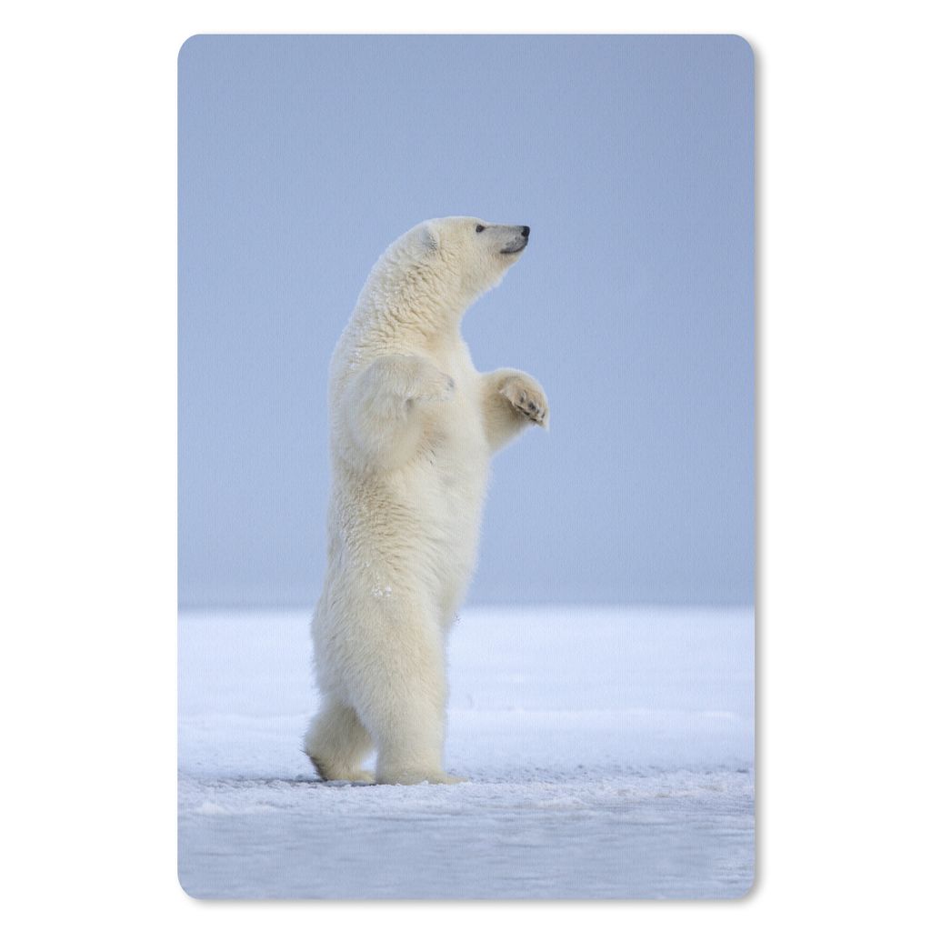 MuchoWow Mauspad Mousepad Eisbär - Lustig - Schnee - Kinder - Jungen - Mädchen - Kind 40x60 cm - Mousepads - Maus Mat - Pad - Mausunterlage - S...