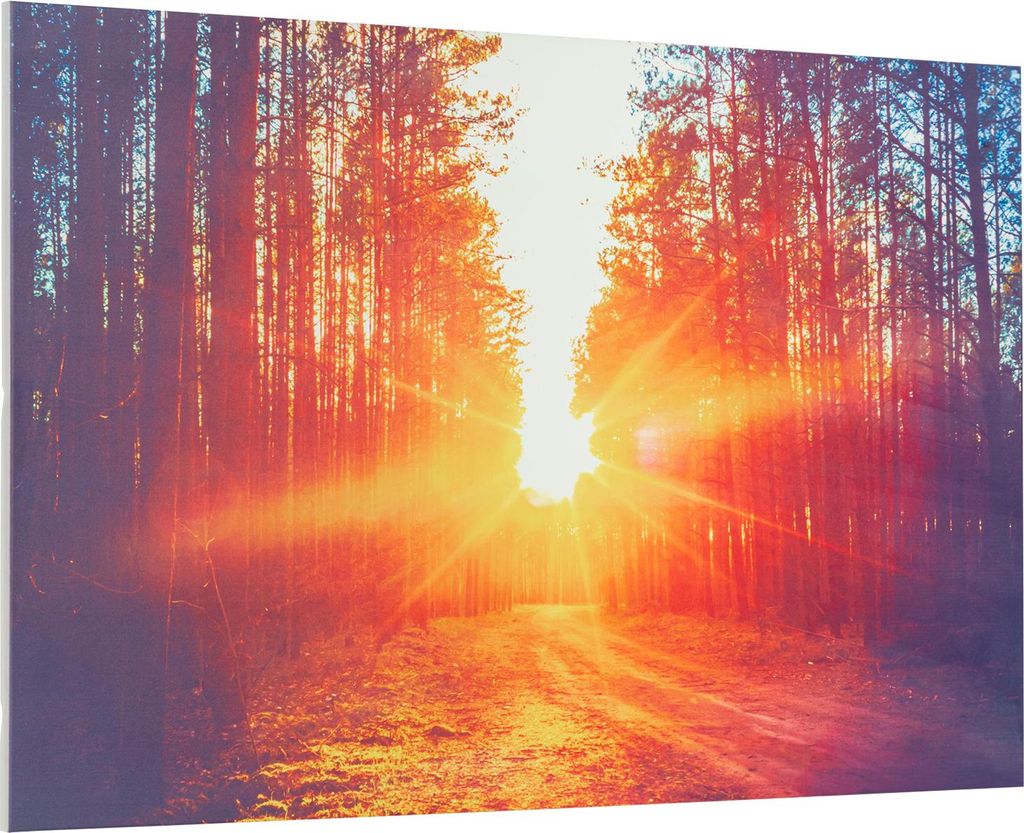 Klarstein Infrarotheizung mit Thermostat, 580W Elektroheizung, Bild-Infrarotheizung zur Wandmontage, IR Paneel mit Fernbedienung & Timer, Feuchtrau...