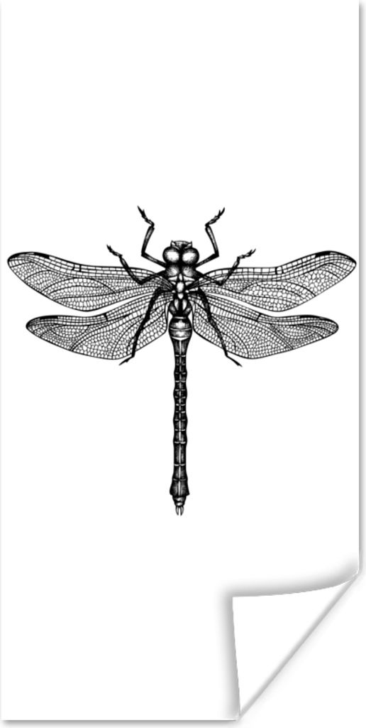 MuchoWow Poster Libelle - Insekten - Retro - Schwarz und weiß 80x160 cm - Kinderzimmer