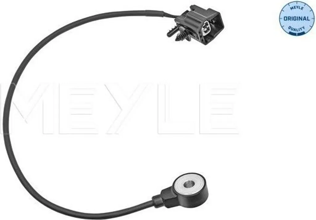 Détecteur de cliquetis pour restaurer l'allumage de Ford B-Max