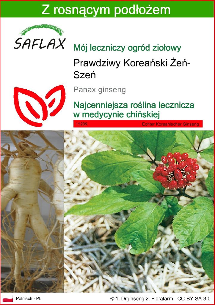 SAFLAX - Prawdziwy Koreański Żeń-Szeń - 10 Nasiona - Z Zdjęcie produktu 