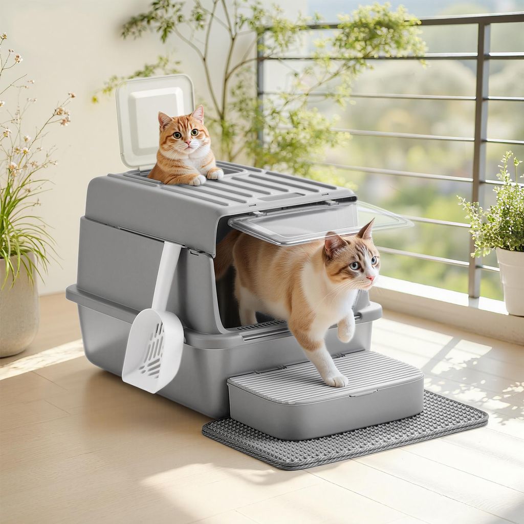 Two cats are on and around a modern, enclosed litter box on a balcony.
