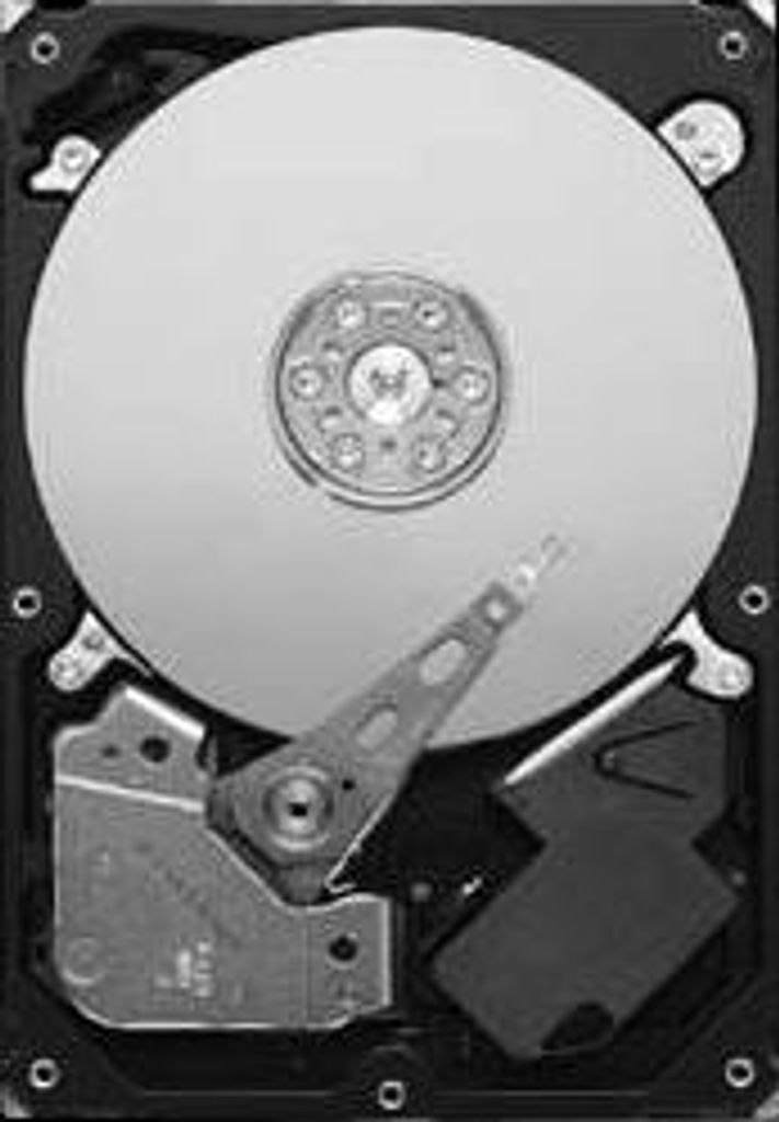 Seagate Pipeline HD ST3320311CS - Festplatte - 320 GB - Produktbild 