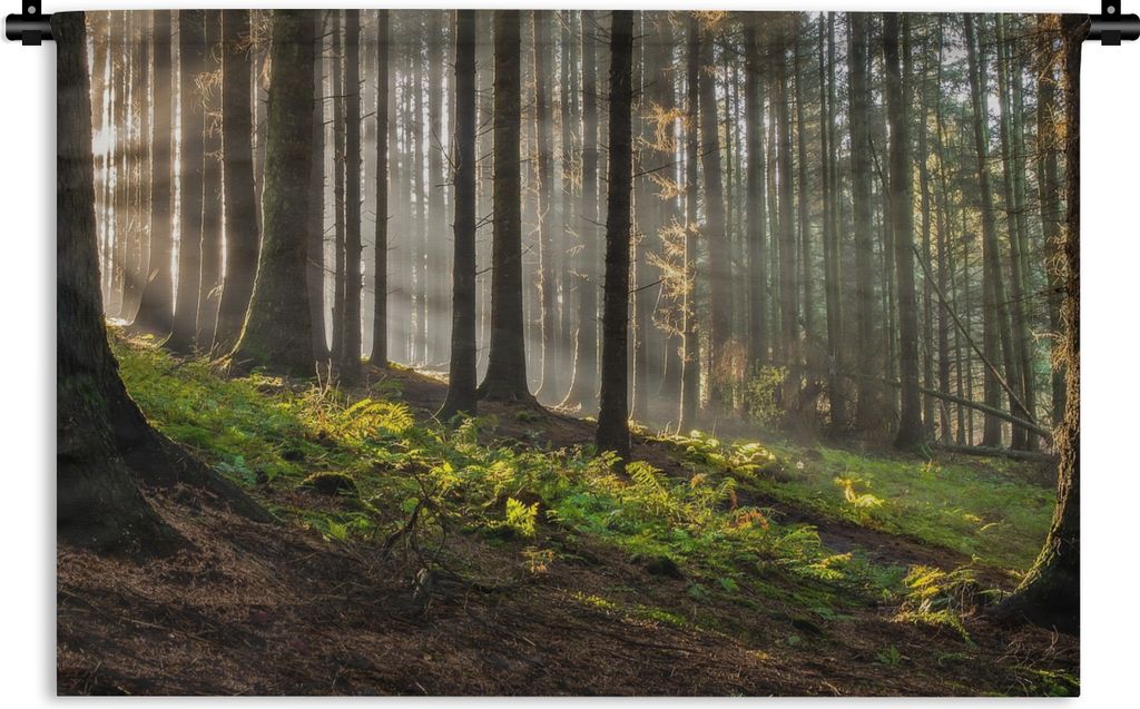 MuchoWow Wandteppich Wandbehang Sonne - Äste - Bäume - Wald - Natur 120x80 cm Tapisserie Dekoration Wandtuch - Wanddekorationen - Wandtücher