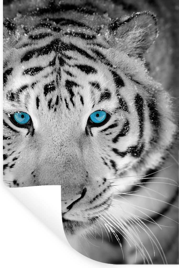 MuchoWow - Wierderverwendbar - Selbstklebend