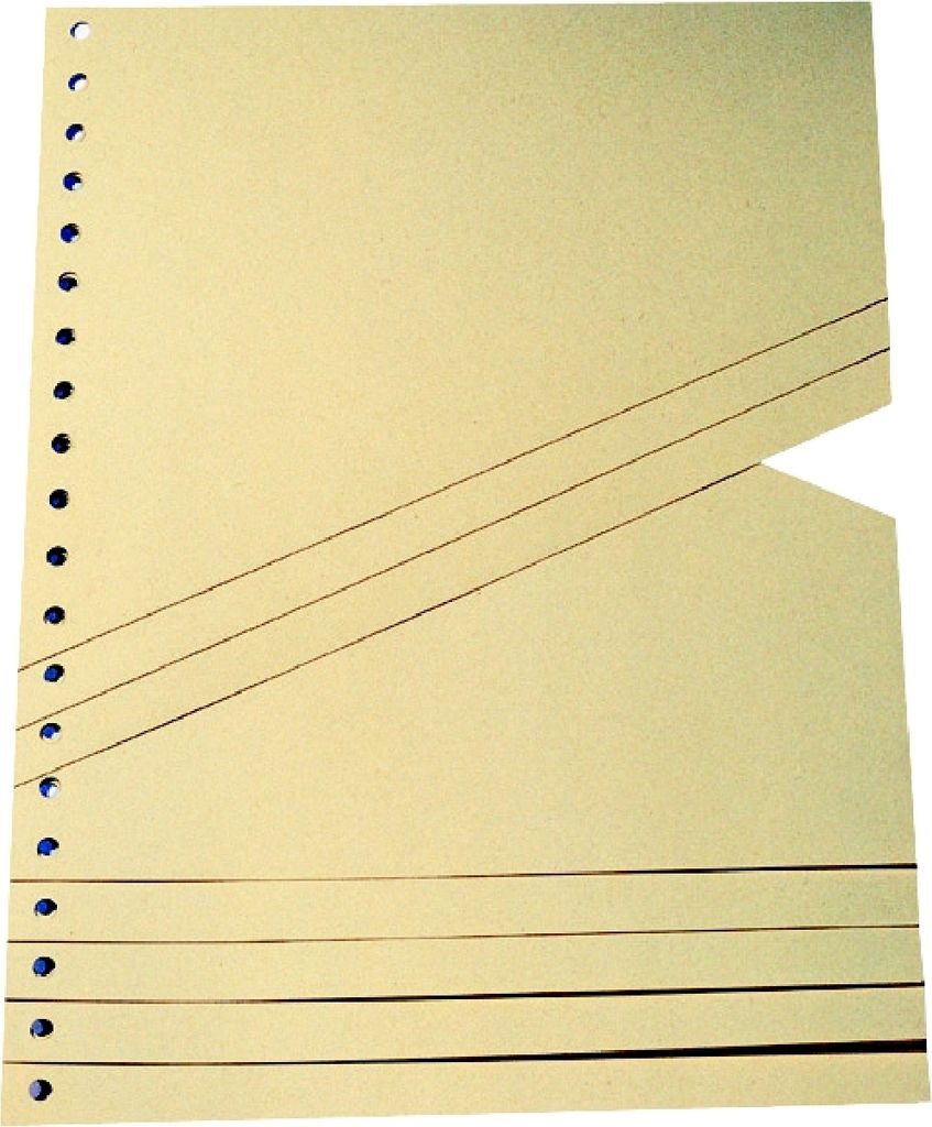 Staffeltrennblätter BxH 230x300mm chamois VE=10x100 Stück