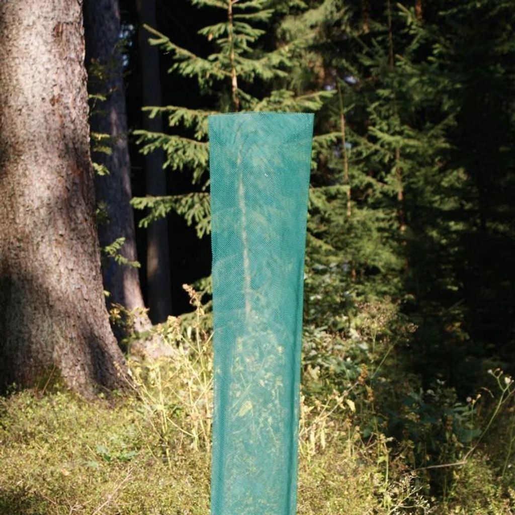 50 x Forst Baumschutzhülle, H: 120 cm, Ø 12 cm Stamm-, Produktbild 