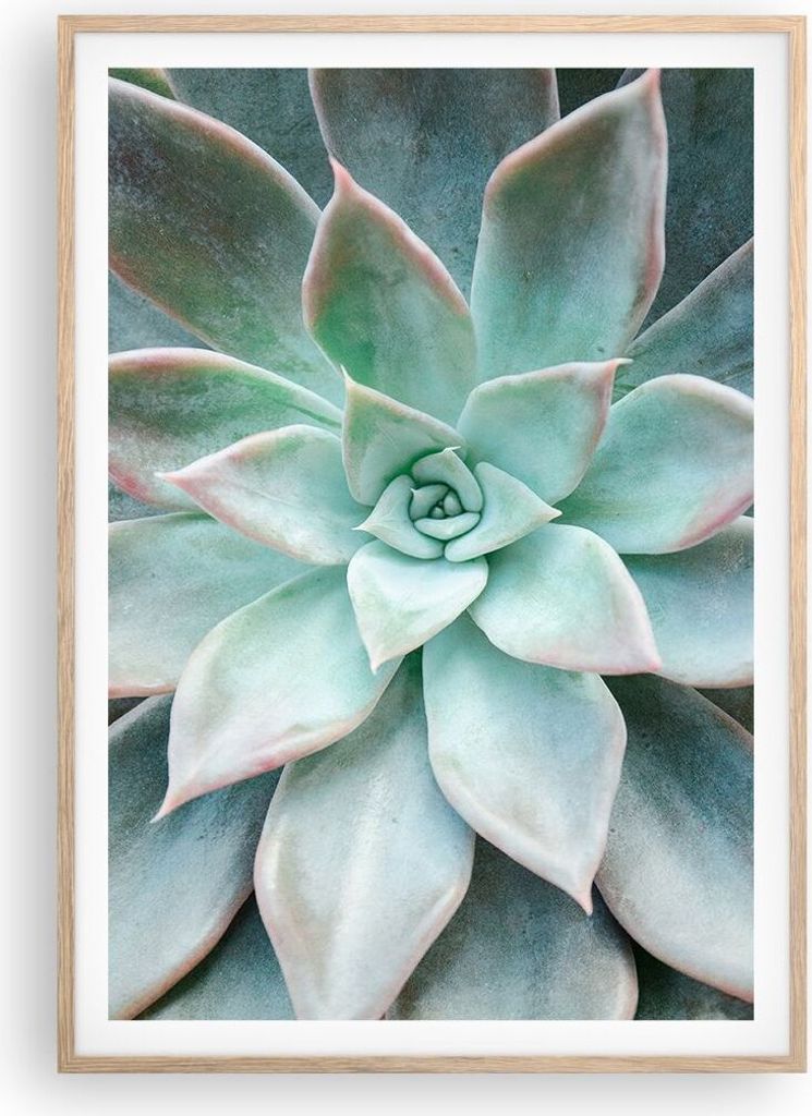 Gerahmtes Poster - Rahmen in heller Eiche - Blau Blätter Agave - 70x100 cm - Wand Bild - Wanddeko - Wandbilder - Kunstposter - Wandposter - Bilder...