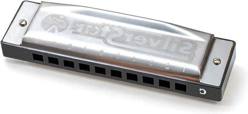 Harmonica de poche argenté 10 trous HOM5040167 pour apprendre la musique