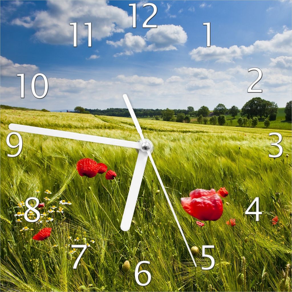 Wallario Design Wanduhr Mohnblumenwiese auf grüner Wiese unter blauem Himmel aus Echtglas, Größe 20 x 20 cm