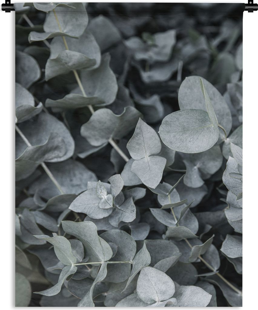 MuchoWow Wandteppich Wandbehang Natur - Pflanzen - Eukalyptus - Blätter 90x120 cm Tapisserie Dekoration Wandtuch - Wanddeko