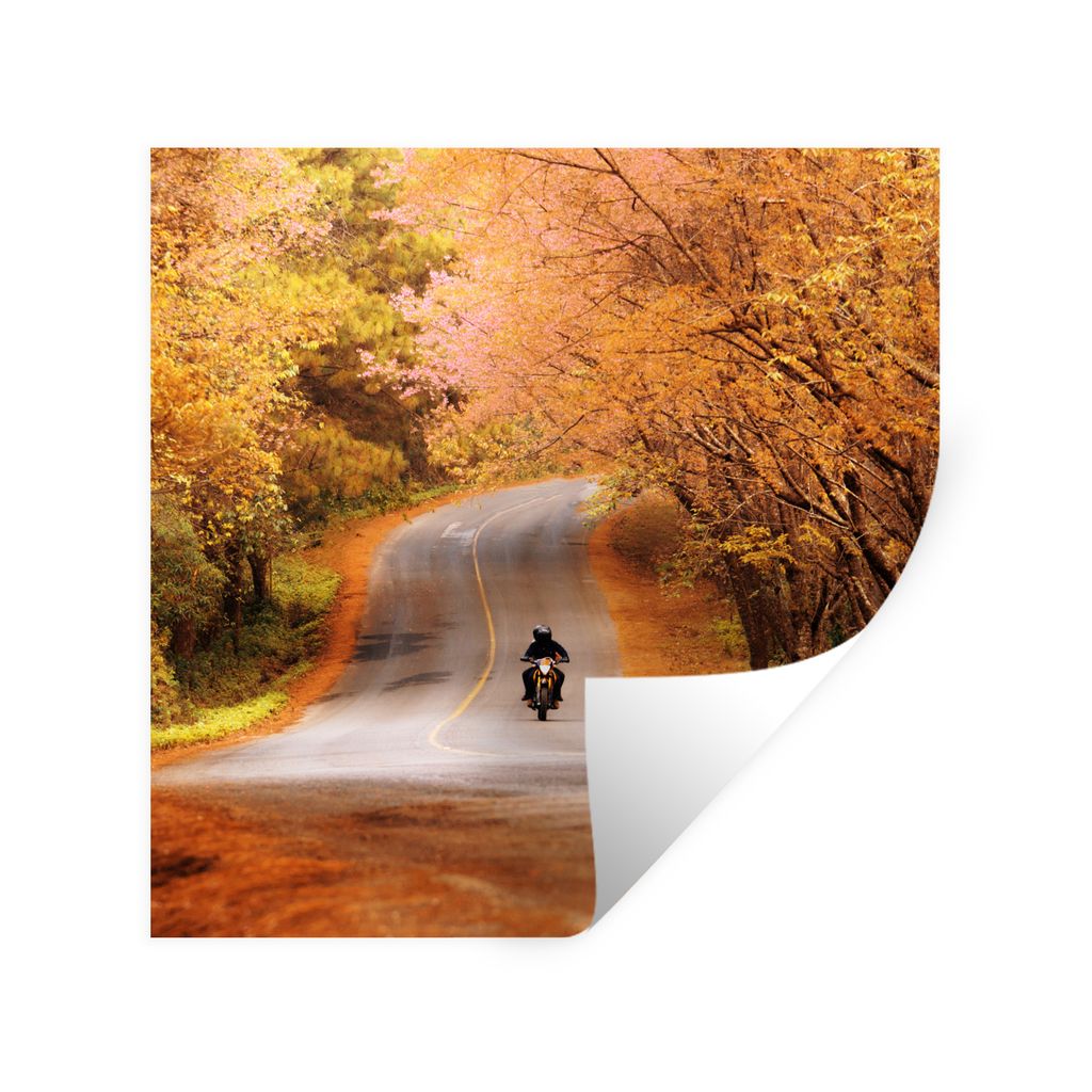 MuchoWow Wandtattoo Wandsticker Wandaufkleber Motorrad zwischen Herbstbäumen 80x80 cm Selbstklebend und Repositionierbar - Wierderverwendbar - S...