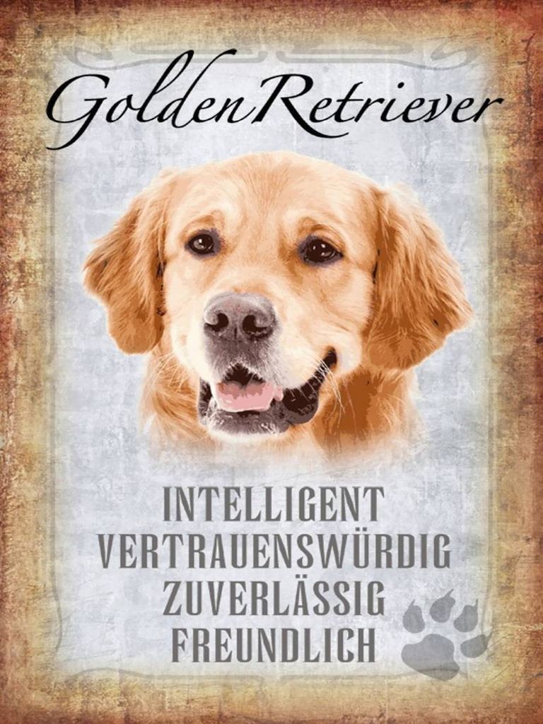 vianmo Holzschild 40x30 cm Golden Retriever Hund
