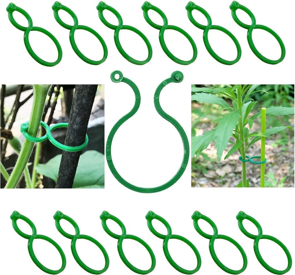 100 Stück Pflanzenclips, Wandbefestigung für Pflanzen, Kletterpflanze Befestigungsklammern für Pflanzen Sicherung Unterstützt