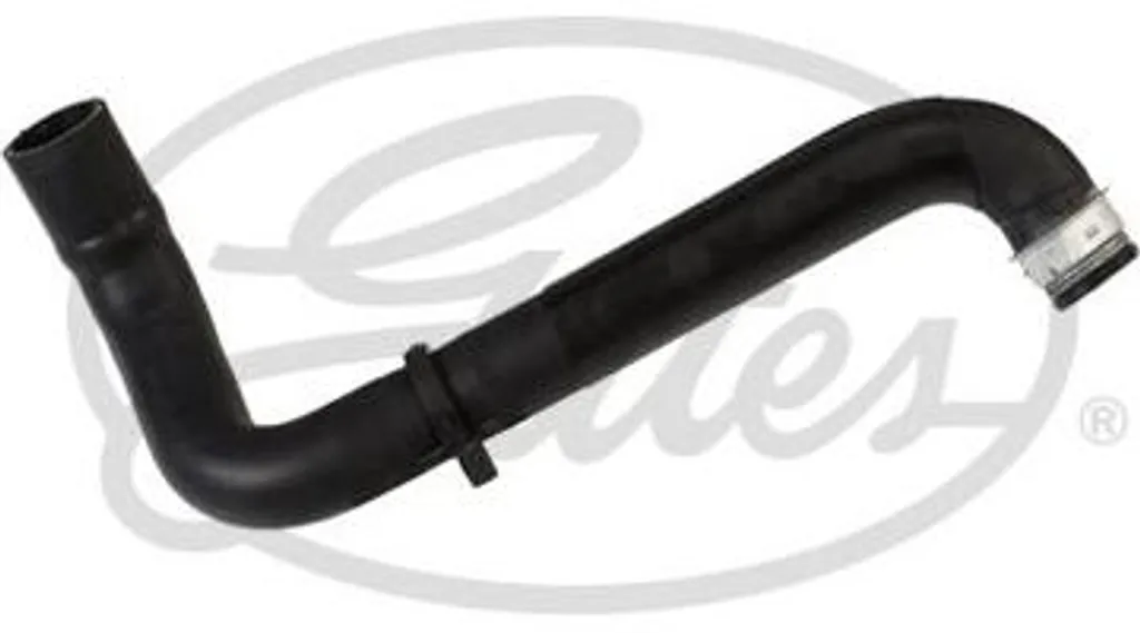 Durite de radiateur pour Expert et Jumpy - Tuyau GATES OE 1343CT
