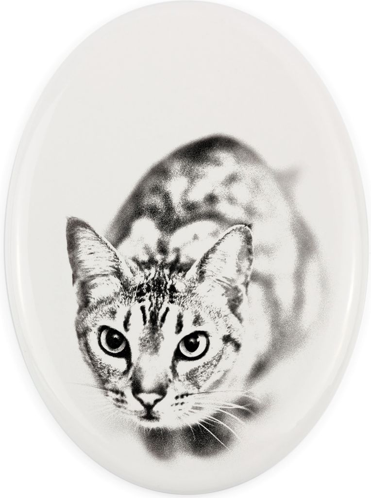 Ocicat - Gedenktafel mit einem Foto einer Katze, Grabplatte mit Druck, personalisierte ovale Platte der Marke Art-Dog