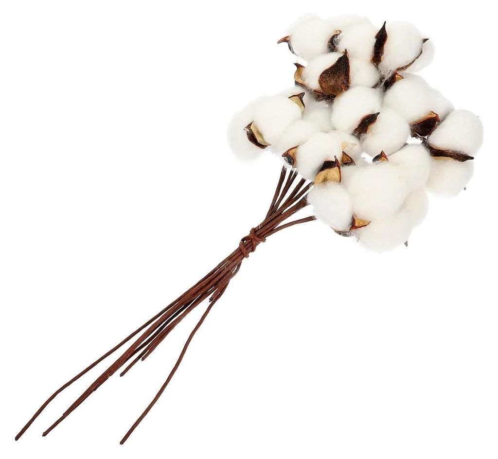Getrocknete Baumwollzweige mit Wattebällchen Weiß 10 Stück für Hochzeitsdekoration und Tischarrangements