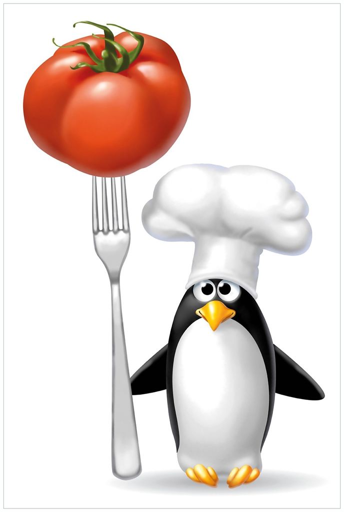 Wallario Premium Glasbild, freischwebende Optik, kräftige Farben, Größe 90 x 60 cm Motiv Pinguin Koch