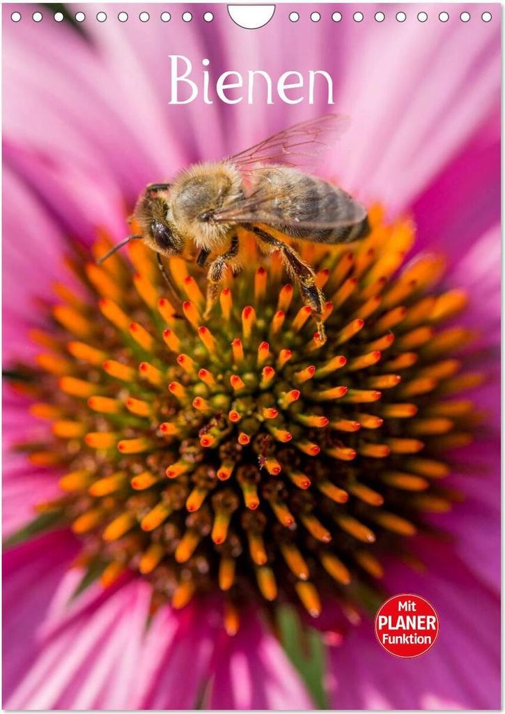 Bienenplaner (Wandkalender 2026 DIN A4 hoch), CALVENDO Monatskalender