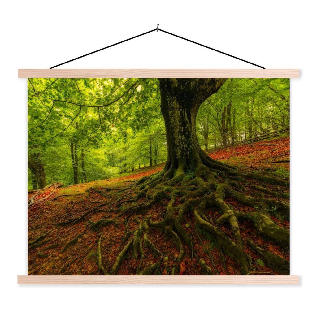 MuchoWow Textilposter Baum - Wald - Herbstblätter 60x45 cm mit holzfarbenen Rahmen - Bild