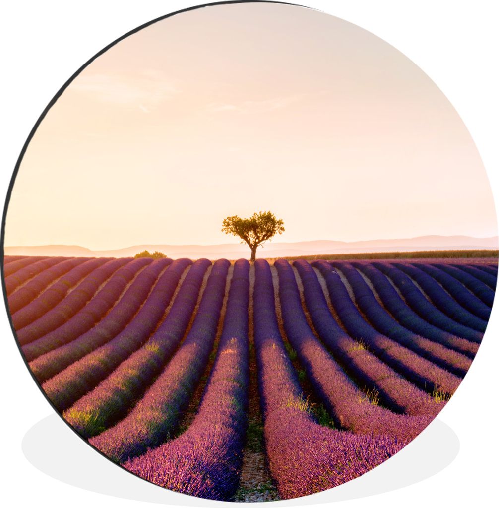 MuchoWow Aluminium Wandkreis Bild eines violetten Lavendelfeldes in Valensole, Frankreich Ø 90 cm Wanddeko Modern Wohnzimmer - Mauerkreis - Wand...