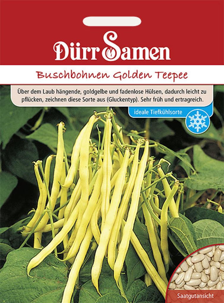 Dürr-Samen - Buschbohnen Golden Teepee - Saatgut - 0331
