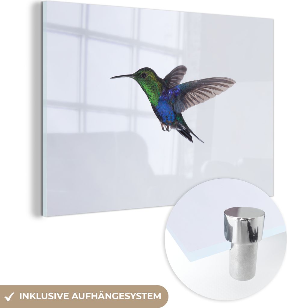 MuchoWow Glasbilder - Bilder auf Wandbild - Foto auf Glas Vögel - Kolibri - Grün - Blau 90x60 cm Wanddekoration aus Glas - Acrylglasbild - Acrylb...