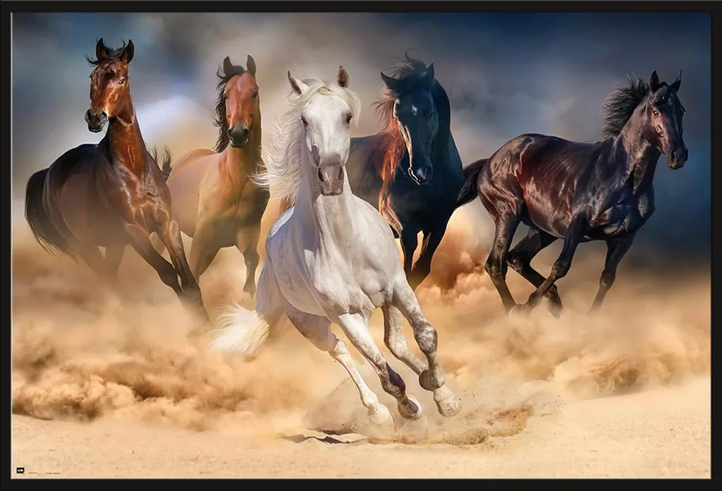 Affiche Chevaux Troupeau Encadrée 61x91cm Cadre Noir Shinsuke Amovible