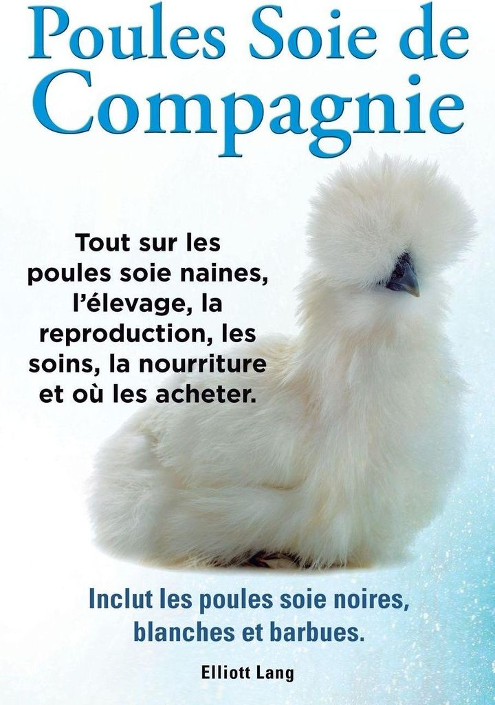 Poules soie de compagnie. Tout sur les Poules soie naines, l'élevage, la reproduction, les soins, la nourriture et où les acheter. Inclut les Pou...