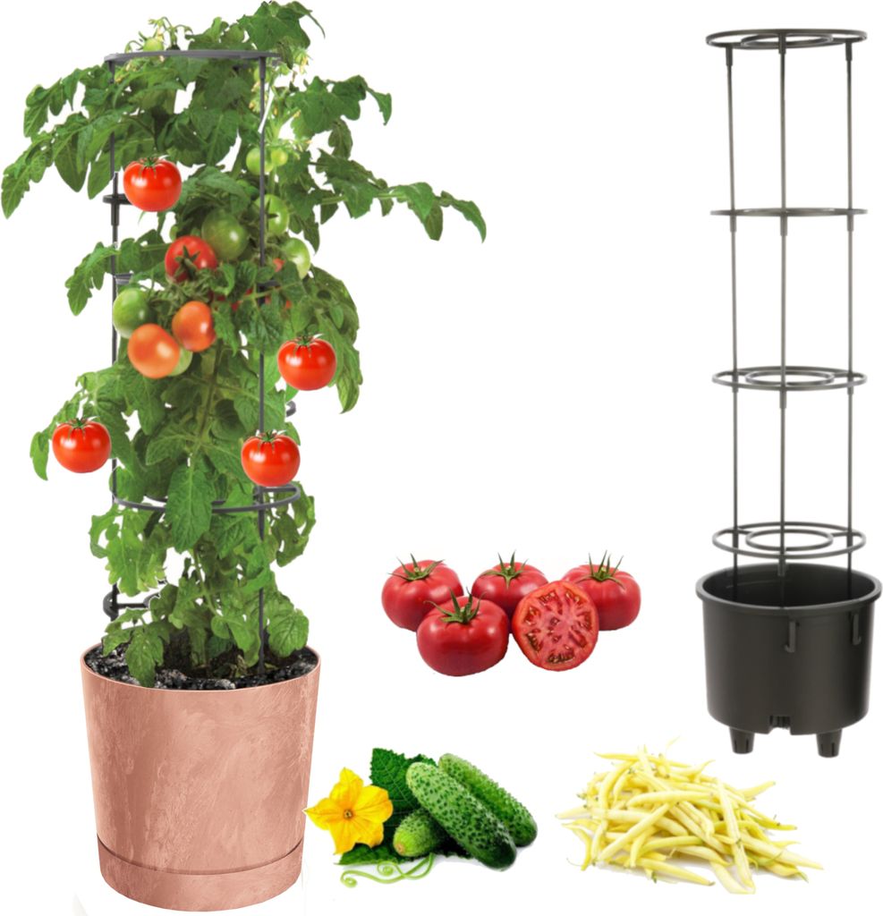 Tomatentopf, Tomatenpflanze Pflanzkübel, Topf zur Anzucht von Kletterpflanzen, Gemüsetopf, Übertopf, Gurken, Bohnen, Ø30 cm terrakotta,Kunststo...