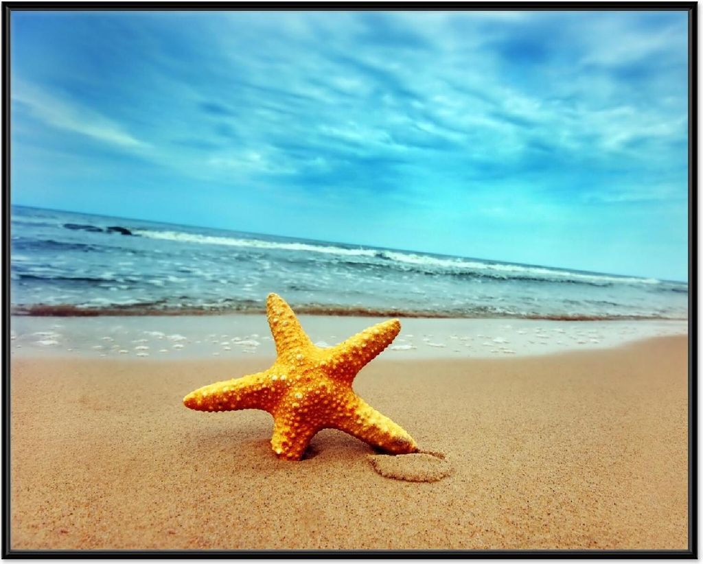 Wallario Wandbild Seestern am Strand am Meer, Größe: 40,30 x 50,30 cm, Poster mit schwarzem Aluminiumrahmen