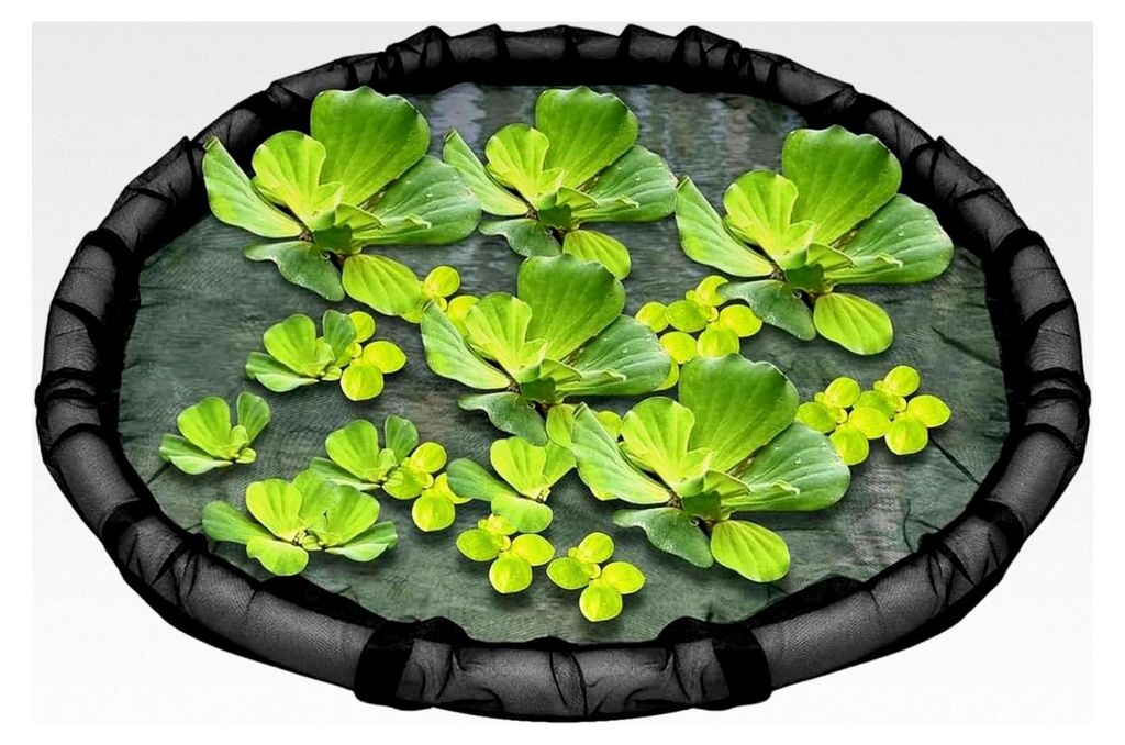 Schwimmende Pflanzenbarriere für Aquarien und Gartenteiche - Runde Netzbarriere für Fische und Pflanzen
