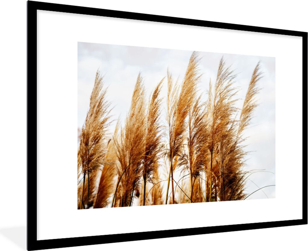 MuchoWow Gerahmtes Poster Pampasgras - Sonne - Gras 90x60 cm - Poster mit Schwarzem Bilderrahmen Wandposter Rahmen Foto Bilder - Wanddekoration -...