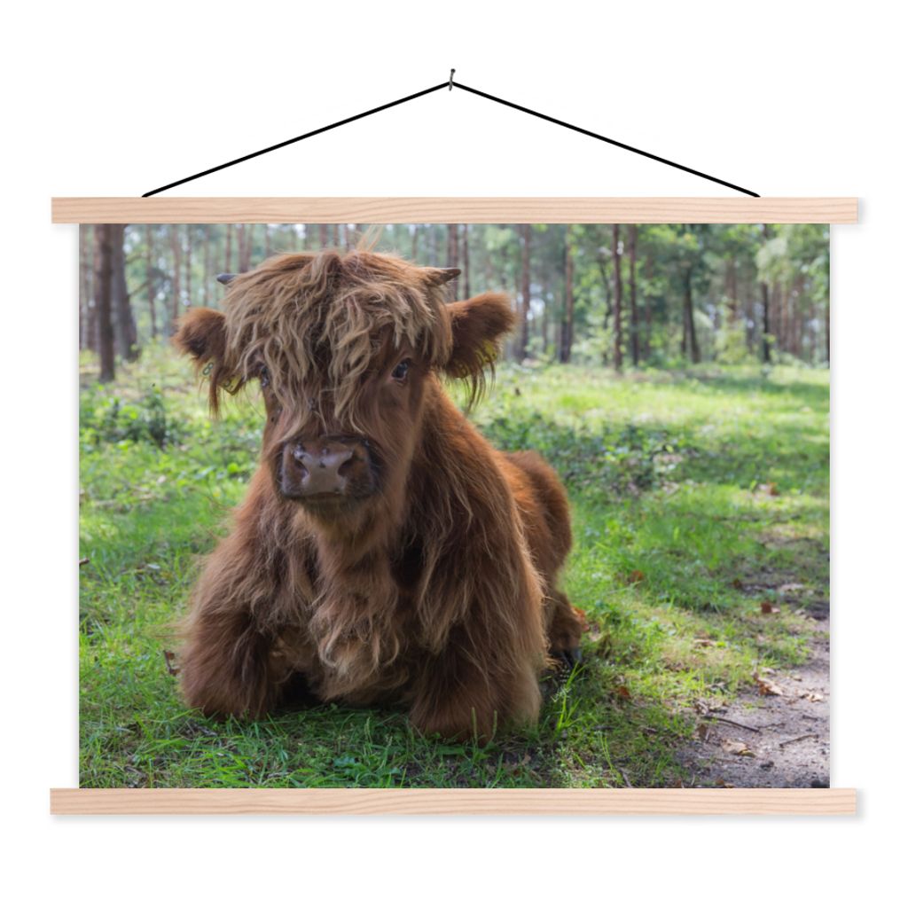 MuchoWow Textilposter Schottischer Highlander - Kröte - Tiere 40x30 cm mit holzfarbenen Rahmen - Bilder
